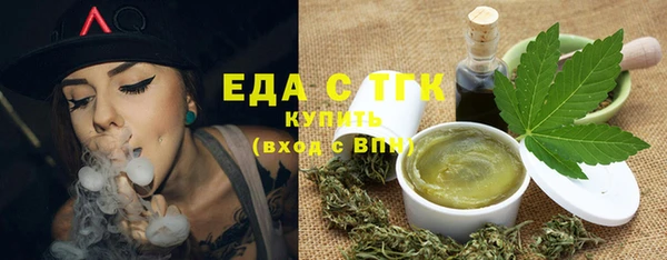 индика Покачи