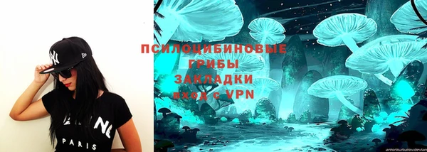 Альфа ПВП Алзамай